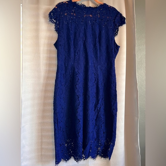 NWT l Beautiful Merokeety Vibrant Blue Lace Dress! XL - Picture 3 of 10